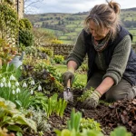 Gardener plants hardy seasonal flowers in a Sutton-in-Craven border.