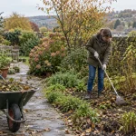 Homeowner clears leaves and cuttings during a garden tidy-up.